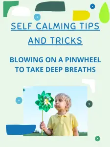Copy of SELF CALMING TIPS AND TRICKS (3)